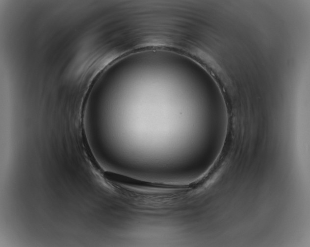 X0000088391129200705221109