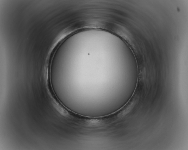 X0000088391130200705221109