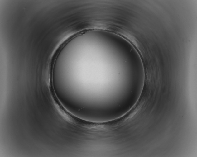 X0000088391131200705221109