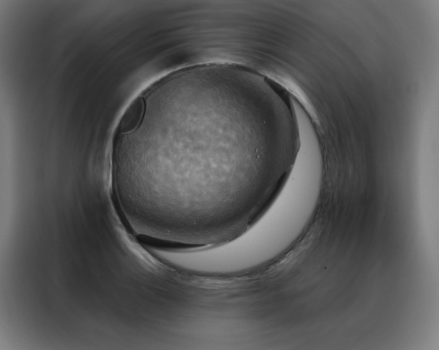 X0000088391132200705221109