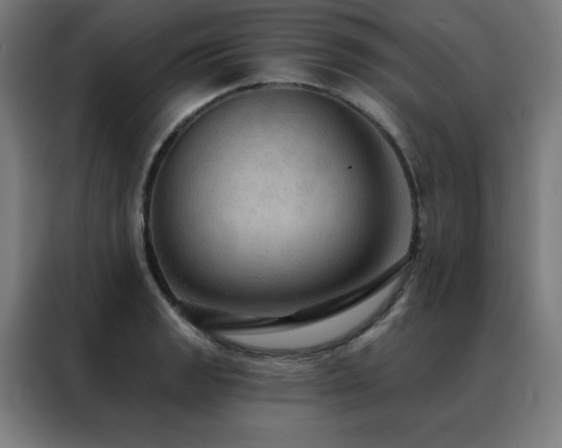 X0000088391133200705221109