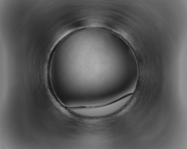 X0000088391134200705221109