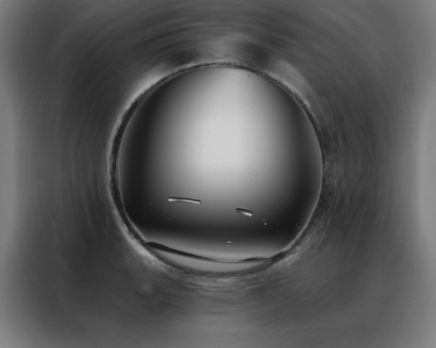 X0000088391135200705221109