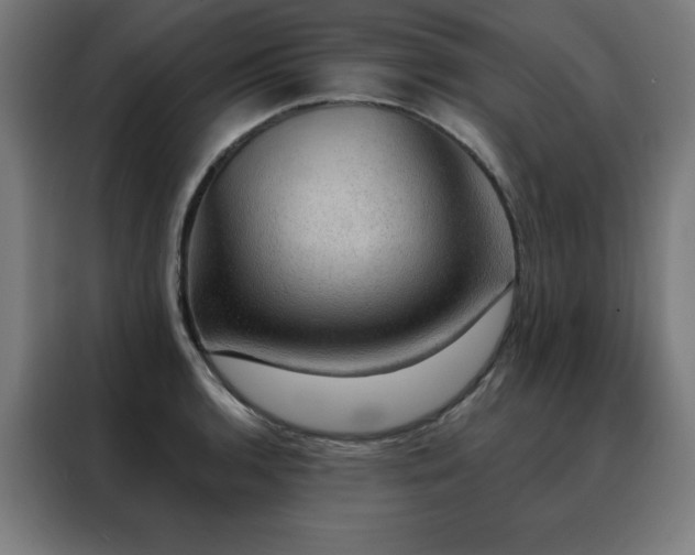 X0000088391136200705221109