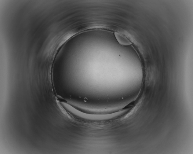 X0000088391137200705221109