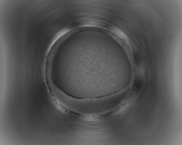 X0000088391138200705221109