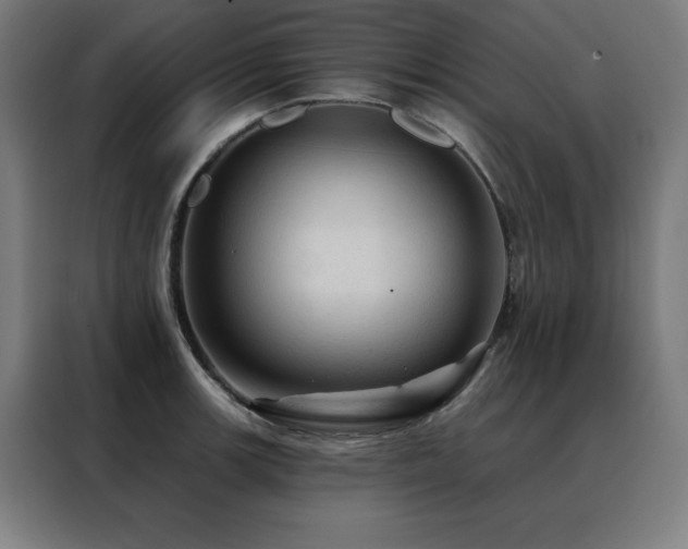 X0000088391139200705221109