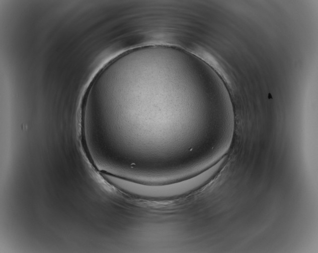 X0000088391140200705221109