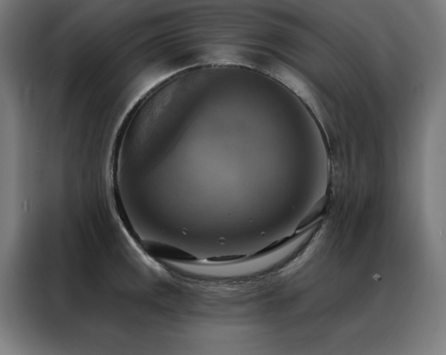 X0000088391141200705221109