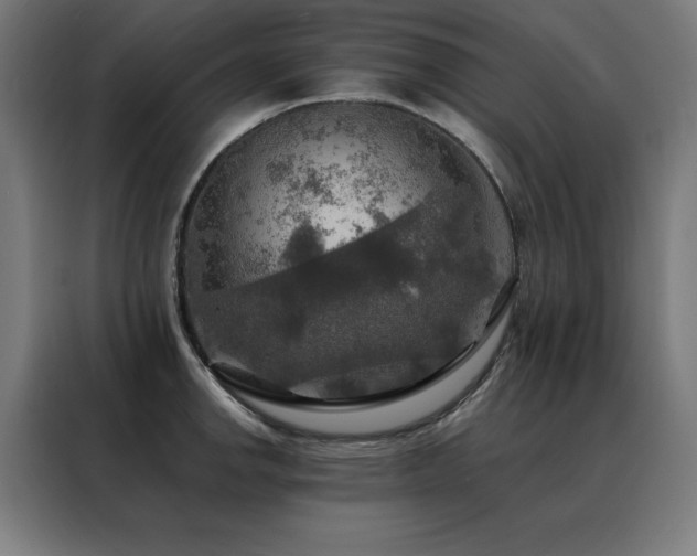 X0000088391142200705221109