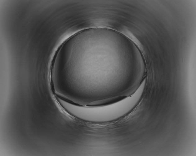 X0000088391144200705221109