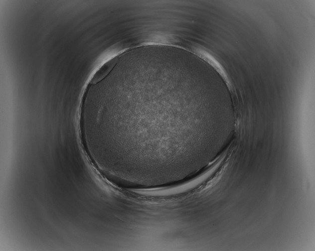 X0000088391146200705221109