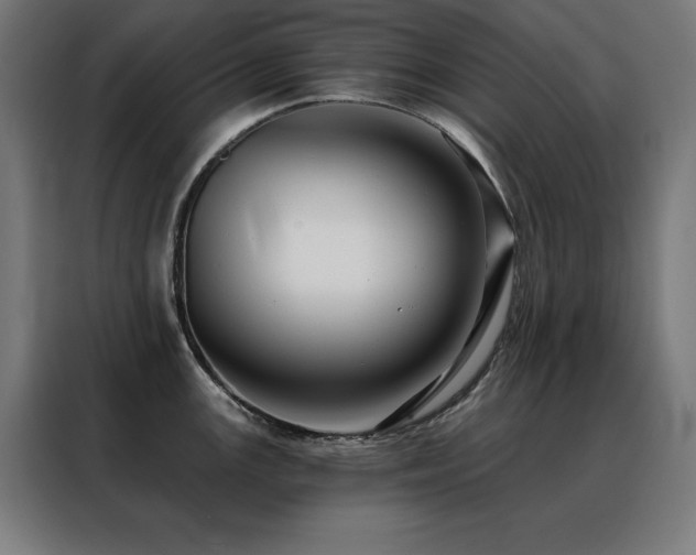 X0000088391147200705221109