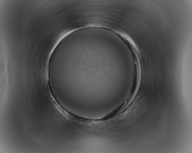 X0000088391148200705221109