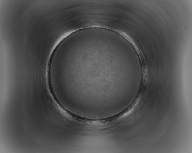 X0000088391149200705221109