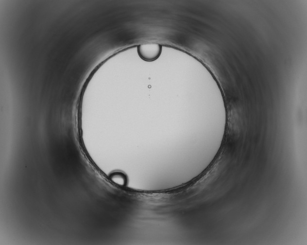 X0000088391150200705221109