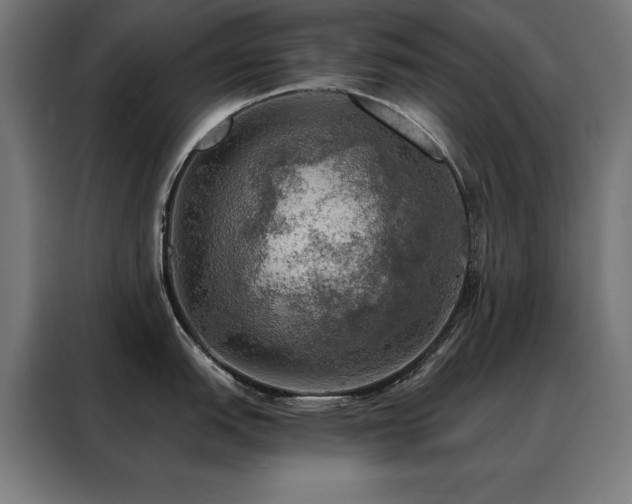 X0000088391151200705221109