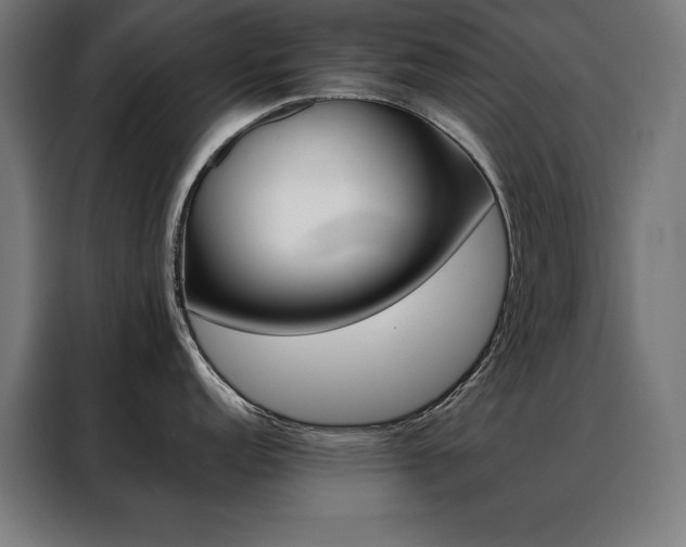 X0000088391152200705221109