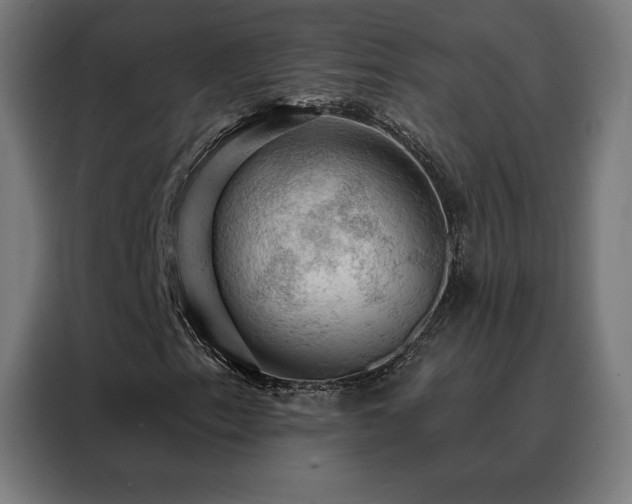 X0000088391153200705221108