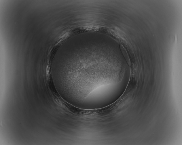 X0000088391154200705221108