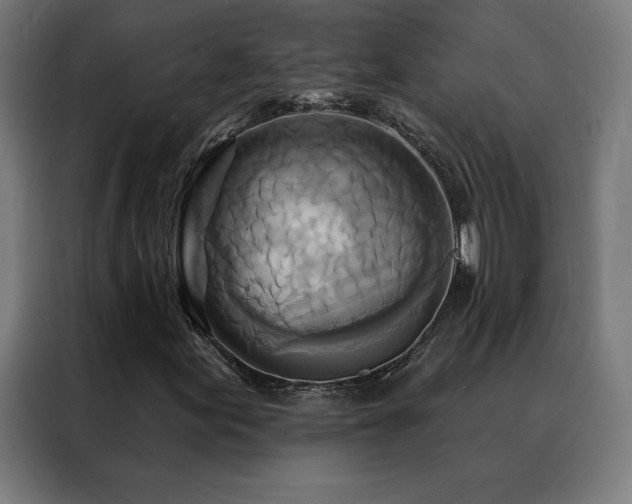 X0000088391155200705221108