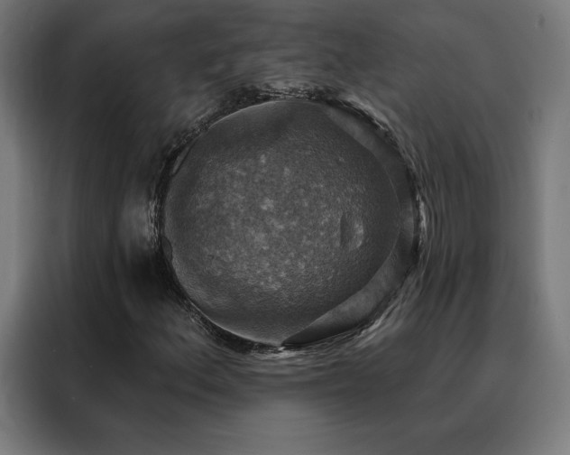 X0000088391156200705221108