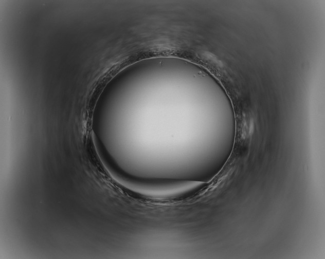 X0000088391157200705221108