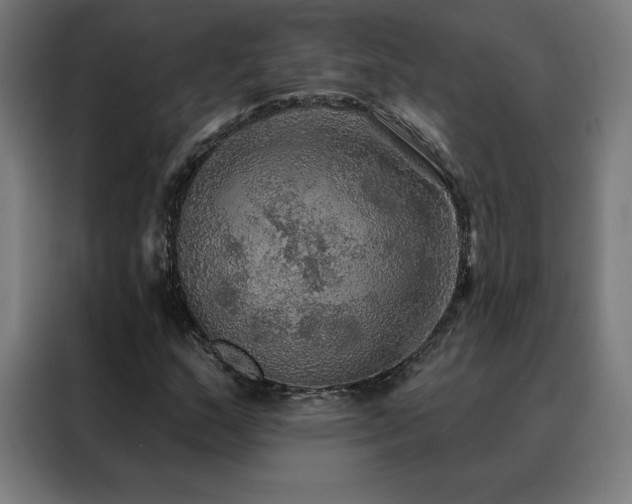 X0000088391159200705221108