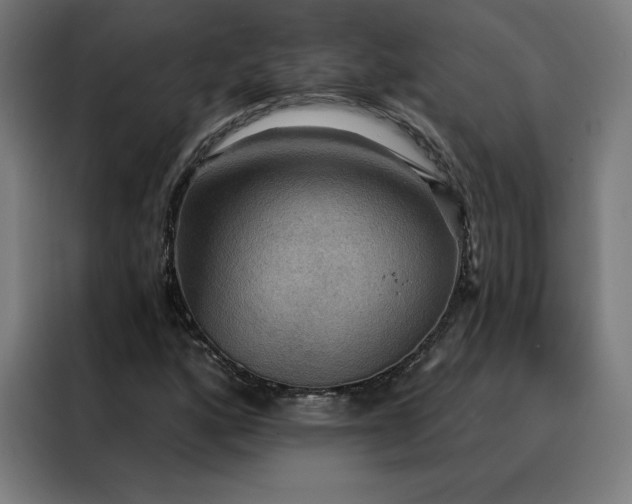 X0000088391160200705221108