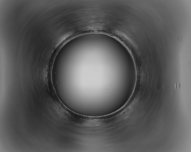 X0000088391162200705221108