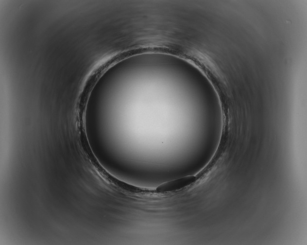 X0000088391164200705221108