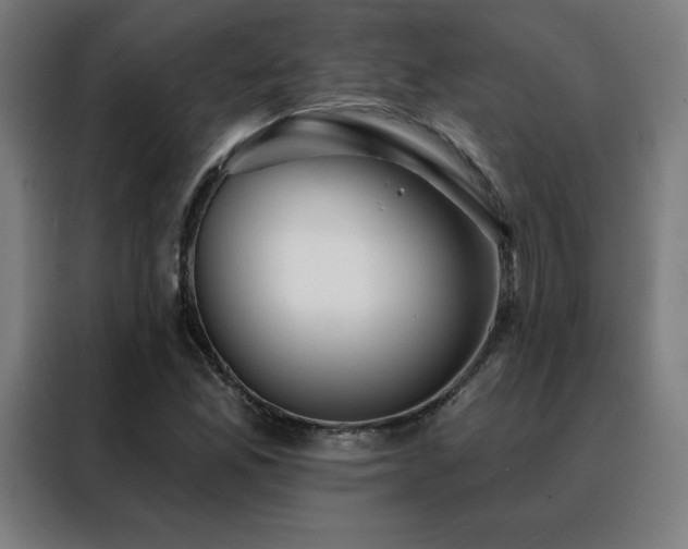 X0000088391165200705221108