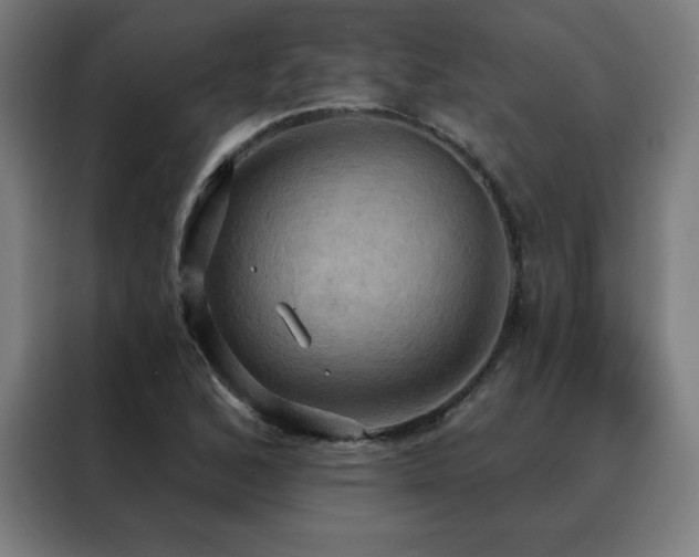 X0000088391168200705221108