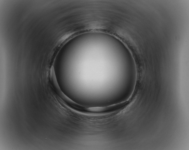 X0000088391169200705221108