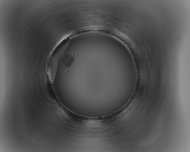 X0000088391170200705221108