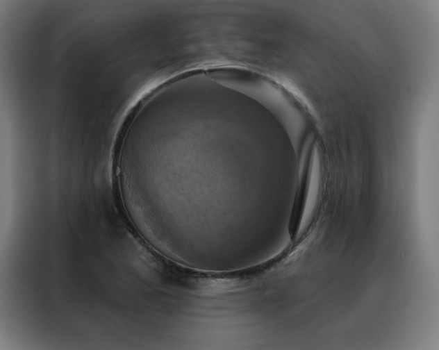 X0000088391173200705221108