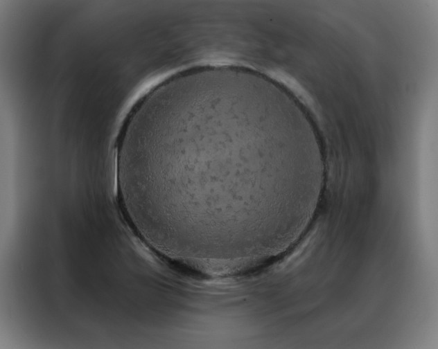 X0000088391175200705221108