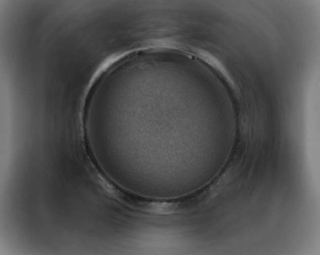 X0000088391176200705221108