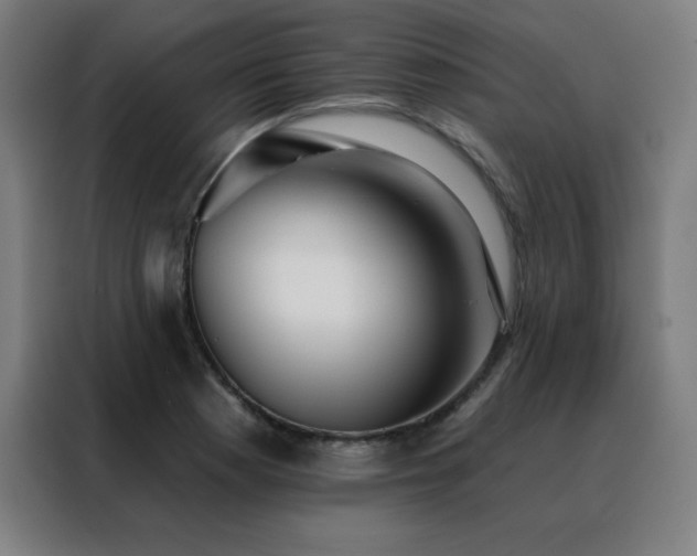 X0000088391177200705221108