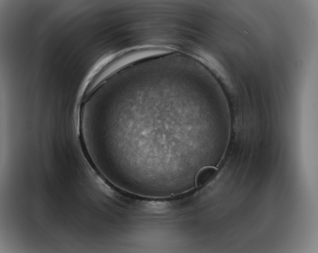 X0000088391180200705221108