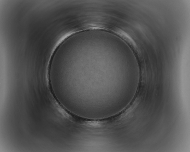 X0000088391182200705221108