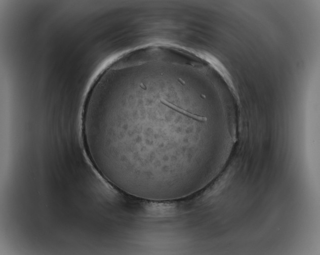 X0000088391183200705221108