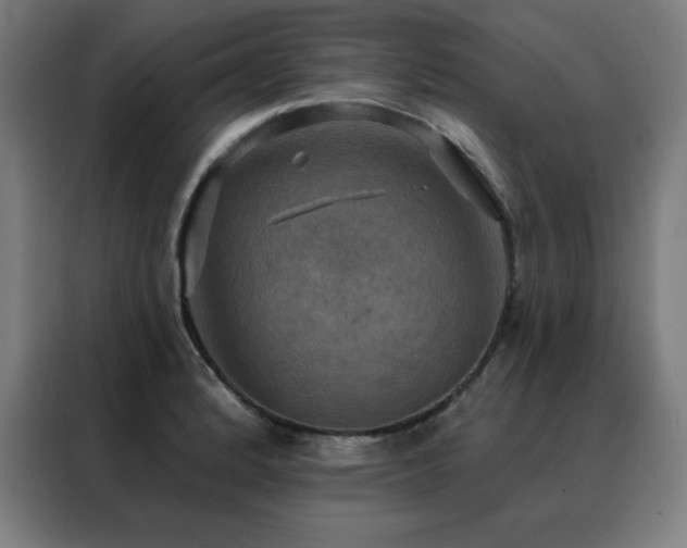 X0000088391184200705221108