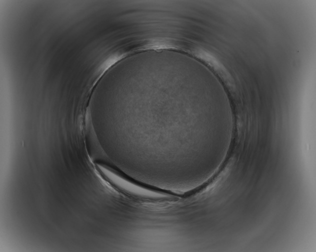 X0000088391185200705221108