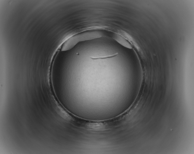 X0000088391186200705221108