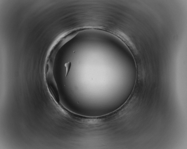 X0000088391188200705221108