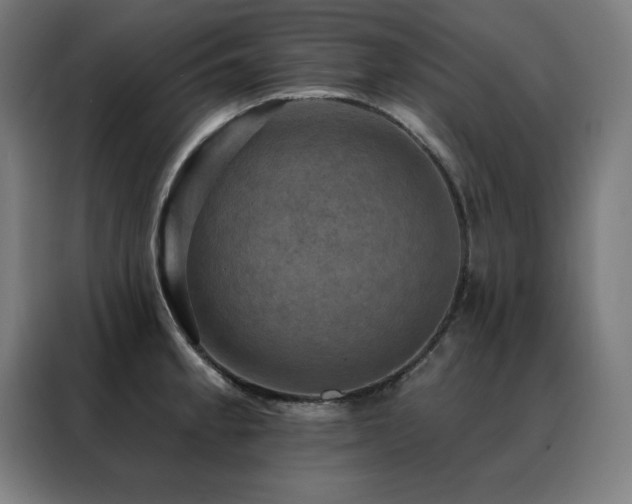 X0000088391189200705221108