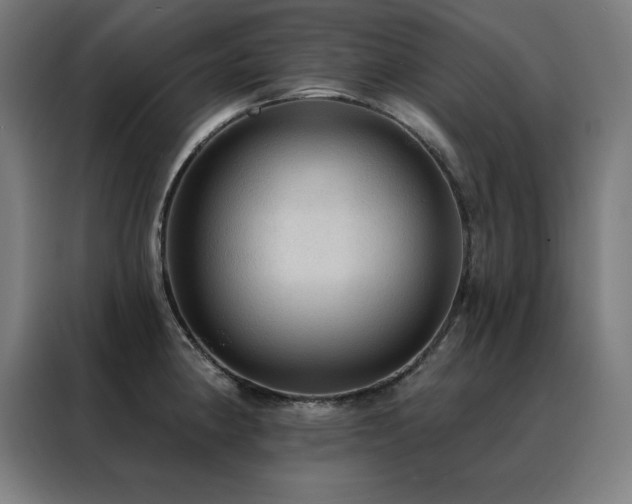 X0000088391190200705221108