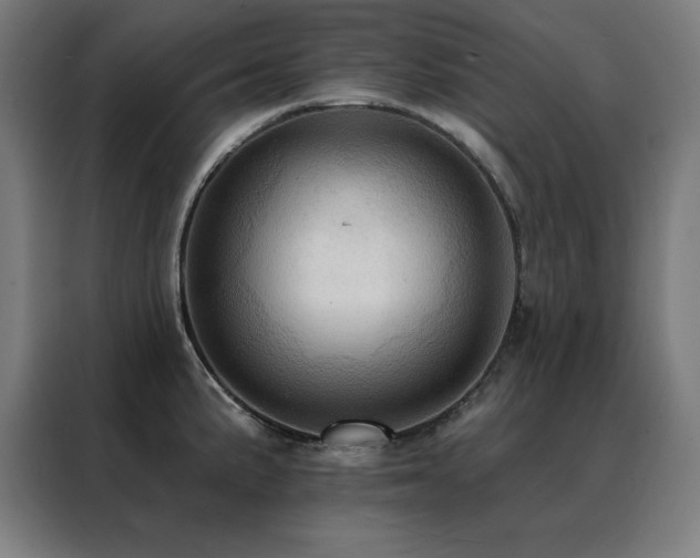 X0000088391191200705221108