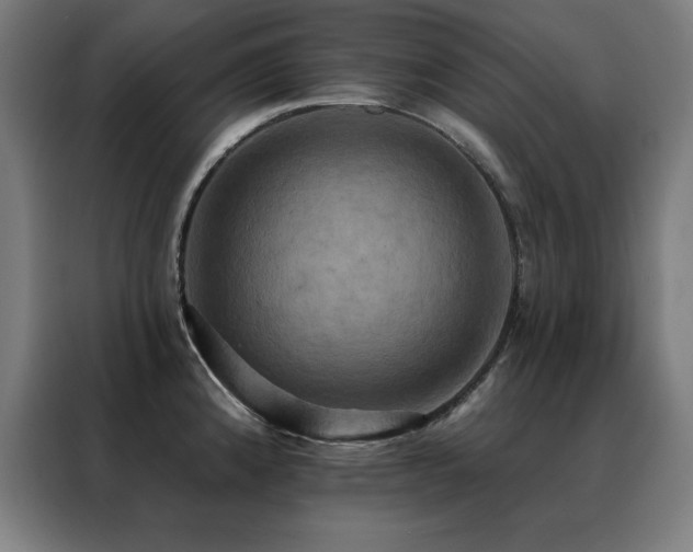 X0000088391192200705221108